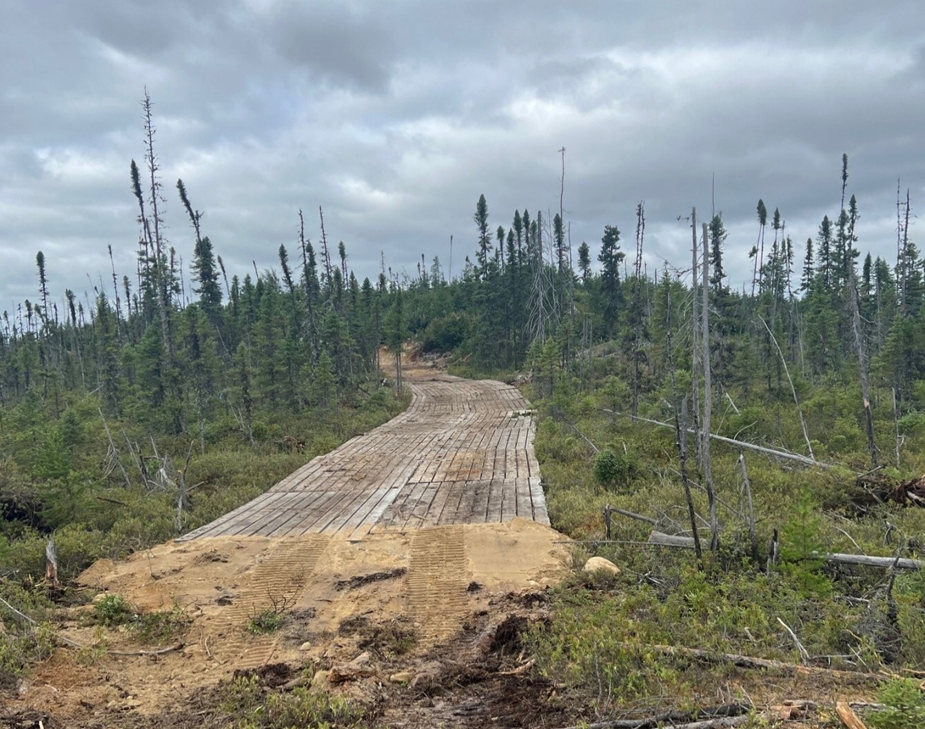 Figure 3: New drill road construction to access the Lion area all year round. (CNW Group/Power Metallic Mines Inc.)