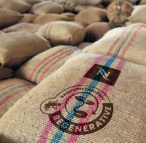 NESPRESSO ANNOUNCES FIRST COFFEE CERTIFIED REGENERATIVE BY THE RAINFOREST ALLIANCE
