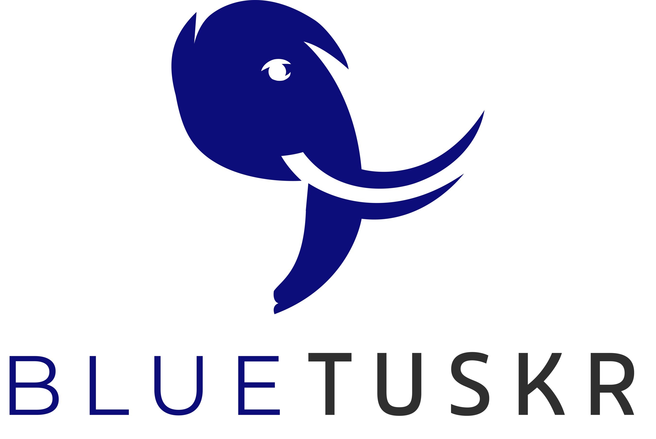 Amazon Names BlueTuskr Agency Partner of the Year 2025 for Buy with Prime and Multi-Channel Fulfillment