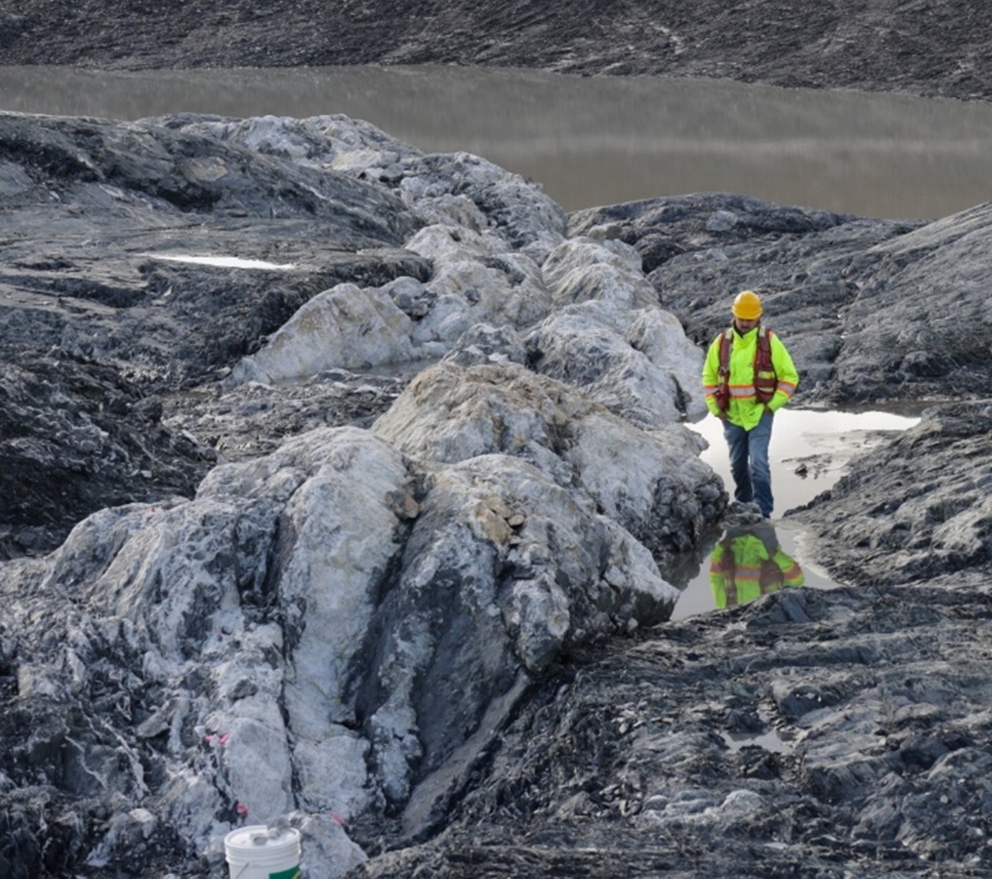 Figure 5: Photo of Iceberg vein. (CNW Group/New Found Gold Corp.)