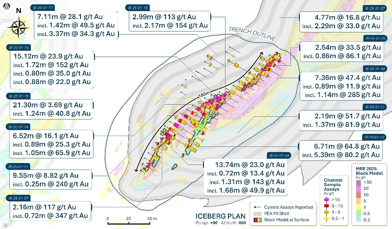 Figure 3: Plan view map of the Iceberg excavation. (CNW Group/New Found Gold Corp.)