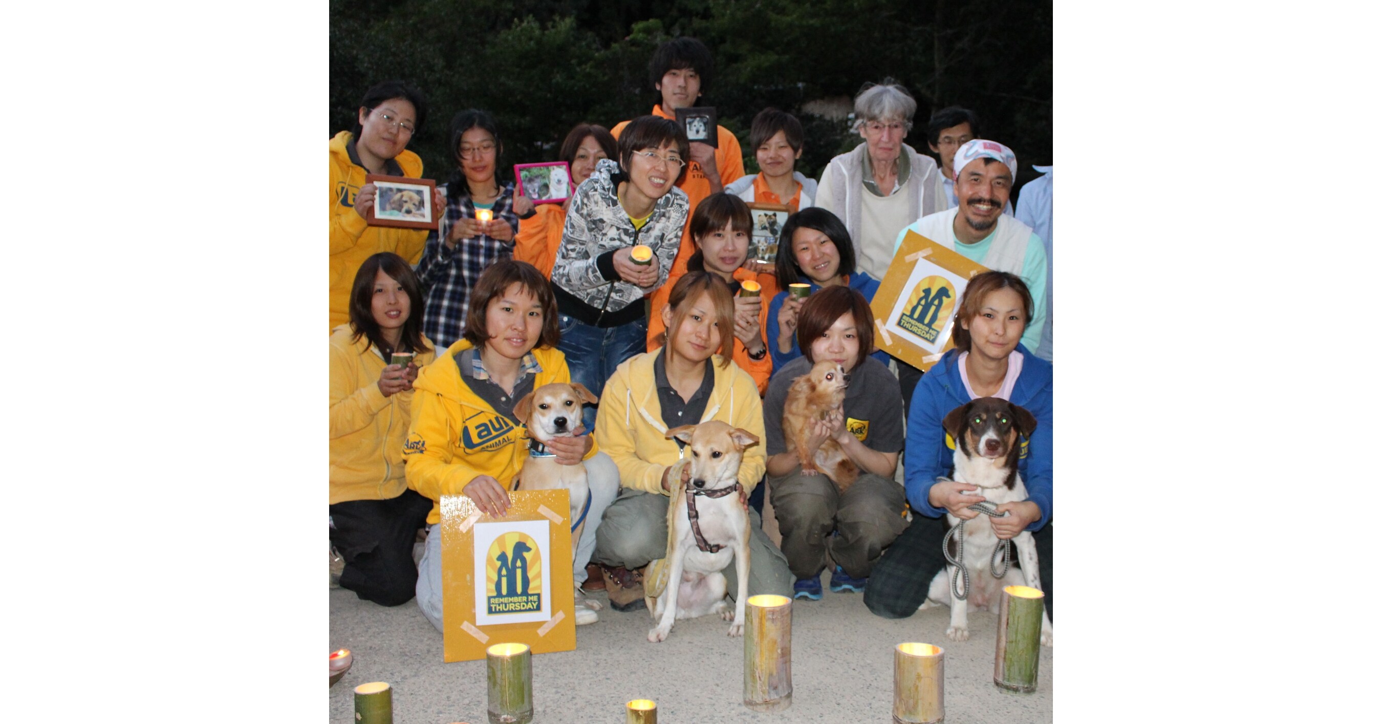 TODAY, GLOBAL PET ADOPTION AWARENESS CAMPAIGN - REMEMBER ME THURSDAY&reg; - LIGHTS UP THE WORLD!