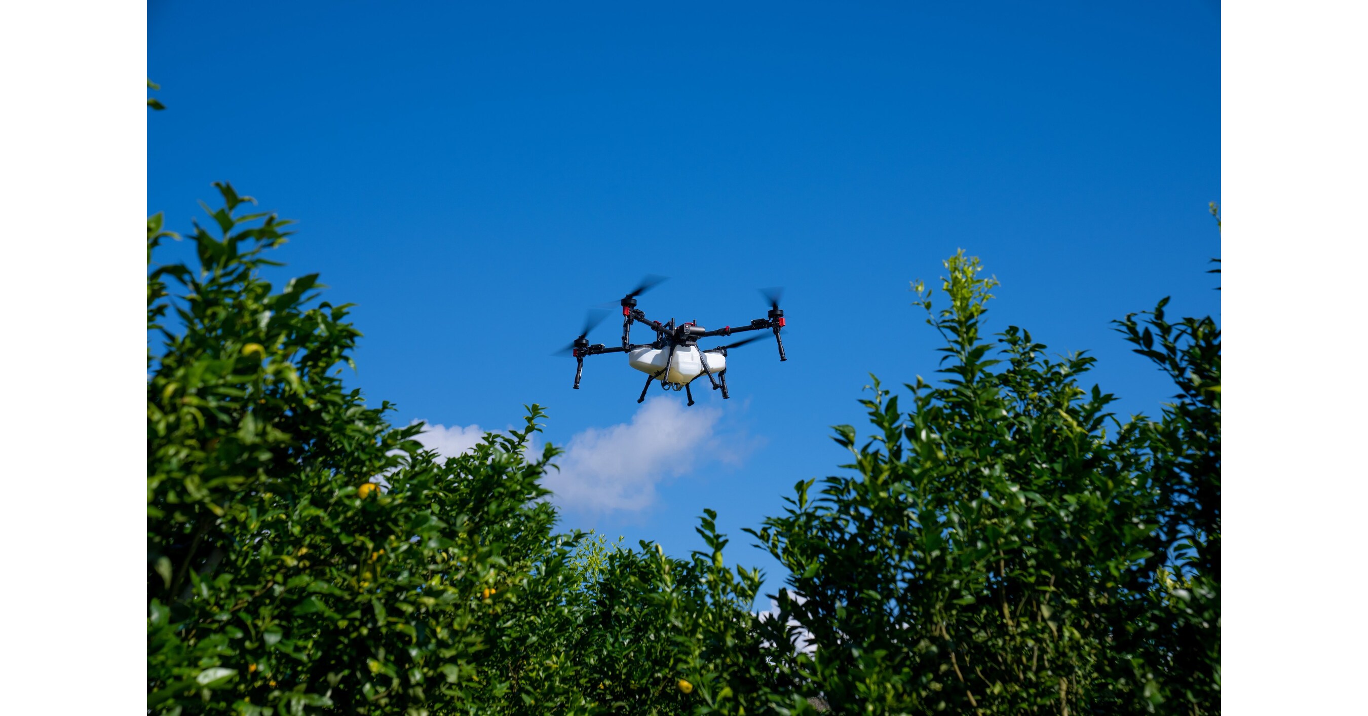 XAG Drones Give Brazilian Farmers the Edge Amid Unpredictable Weather