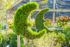 MOON VALLEY EXPANDS OPERATIONS IN SAN ANTONIO WITH 5-ACRE NURSERY