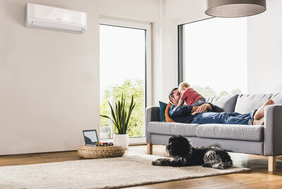 Hitachi airHome 600