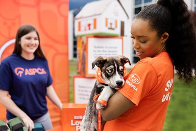 Through the 2025 Subaru Loves Pets® initiative, an effort dedicated to improving the lives of as many shelter pets as possible, Subaru of America, Inc. and its participating retailers will provide over $3.1 million in direct financial assistance to local animal shelters nationwide through grants administered by the ASPCA® (The American Society for the Prevention of Cruelty to Animals®) to help cover costs associated with preparing animals for adoption, veterinary expenses, and more.