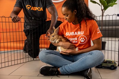 According to the ASPCA, approximately 5.8 million animals entered shelters in the U.S. in 2024. Many of these animals live day after day without the love of a family or a home. Subaru believes that all pets deserve loving homes, which is why we are the largest corporate donor to the ASPCA.
