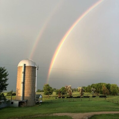 I think this photo encapsulates the agricultural world. This was taken after a severe thunderstorm passed through, dropping three inches of rain in just 15 minutes. Afterwards, we looked outside and noticed how green everything was, with cows roaming through the pasture, enjoying the grass. The rainbow then brought beauty to the scene after a nasty storm. Just shows that even after some tough times, good times are right around the corner. Brenden Klebe, Willlow City, North Dakota. (CNW Group/Lallemand Plant Care)