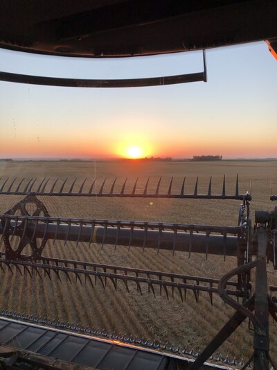 We are entering wheat harvest season. Even though we are surrounded by corn and soybeans, we continue to grow wheat on our farm to enhance our crop rotation. Can’t beat calling it a successful day and watching the sunset from the combine! Gabe Foltz, Callaway, Minnesota. (CNW Group/Lallemand Plant Care)