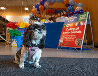Credit: PetSmart