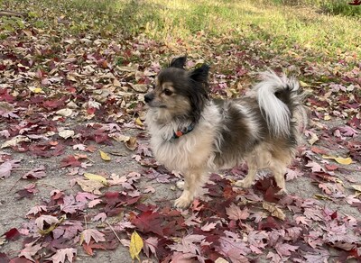 Rocky didn't party like a rock star, but he still ended up in the emergency room after accidentally coming in contact with multiple drugs after a concert.