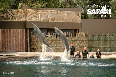 Marine Safari Bali: Adventure & Unforgettable Experiences