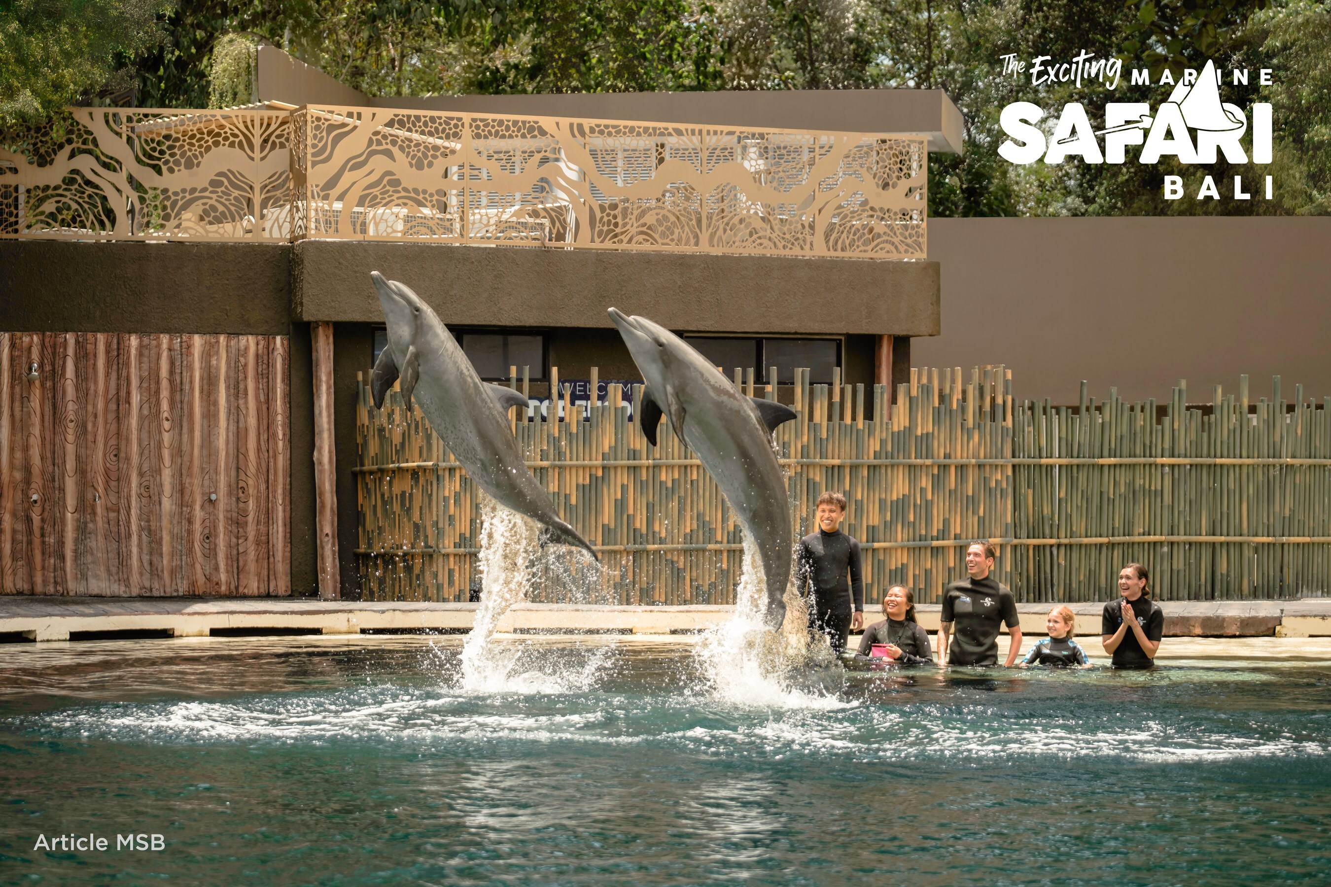 Marine Safari Bali: Adventure & Unforgettable Experiences