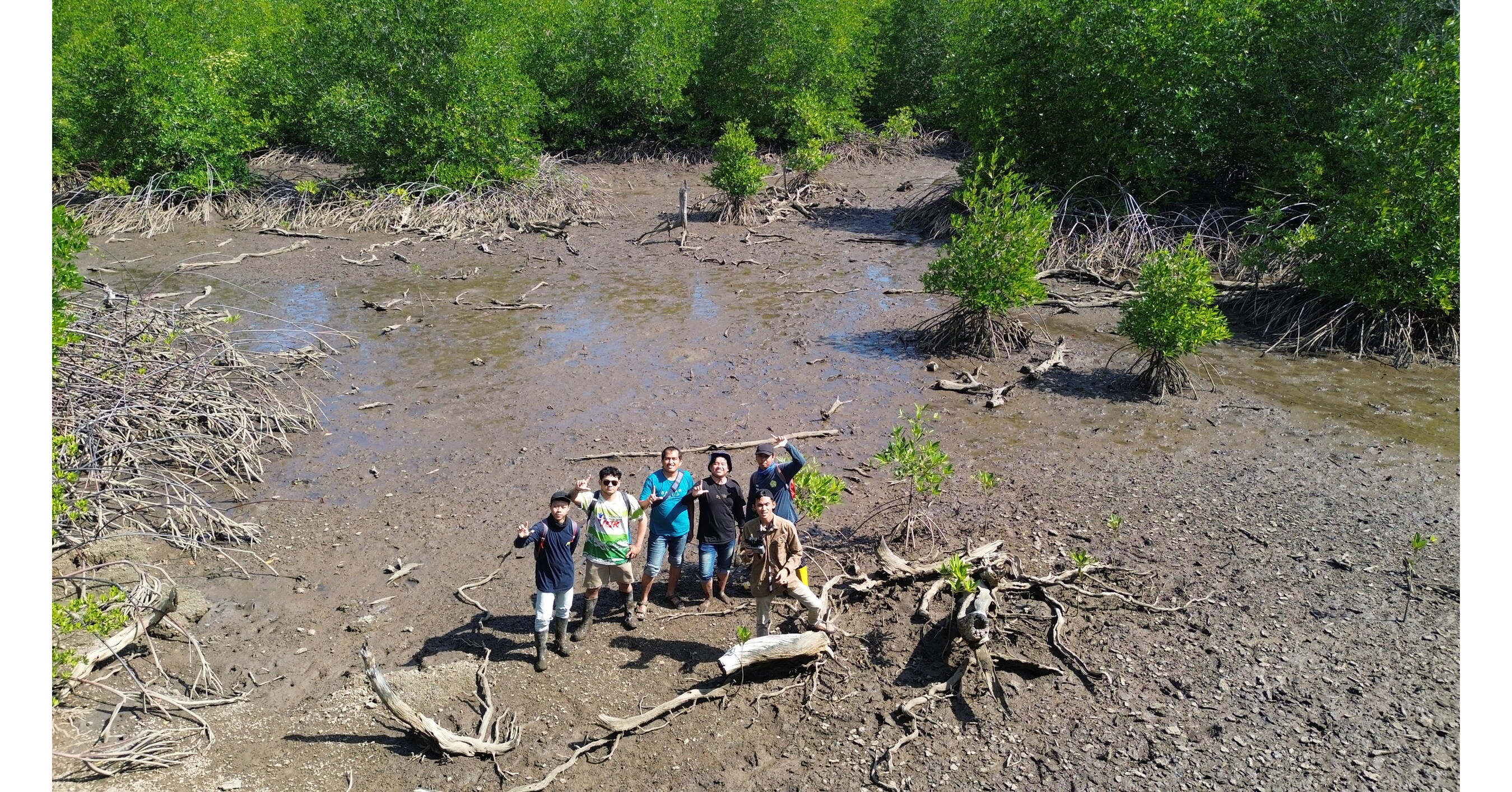 ULM Jadi Satu-satunya Universitas di Dunia Kelola Lahan Mangrove 611 Hektare