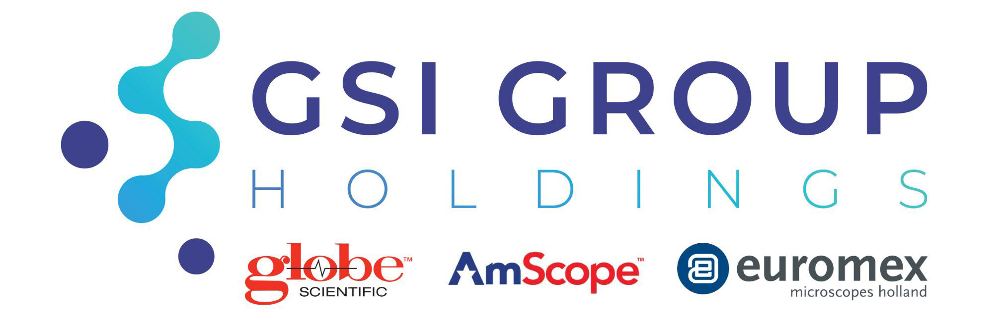 GSI Group expands Platform with Acquisition of GenesisBPS