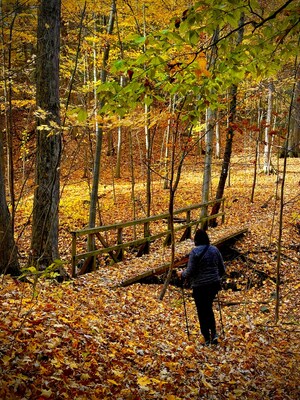 Photo: Alyson DiDonato (CNW Group/Bruce Trail Conservancy)