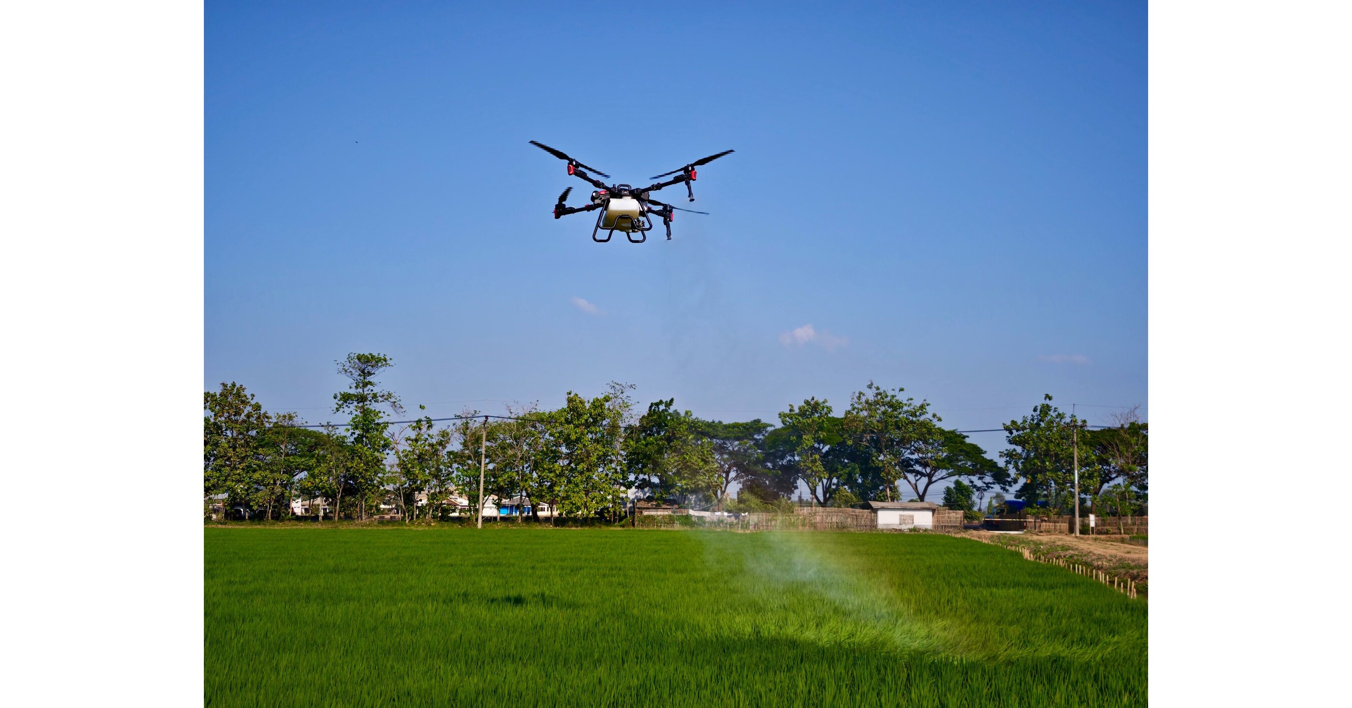 Pesawat Tanpa Awak XAG Jadi Lompatan Penting dalam Budi Daya Padi di Indonesia