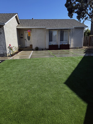 Lush Artificial Grass Transforms Pet-Friendly California Home