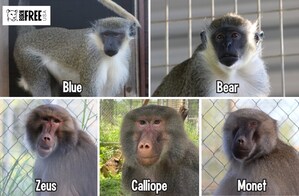 Five Monkeys Rescued from Notorious Oregon Roadside Zoo Get a New Start at the Born Free USA Primate Sanctuary in Texas