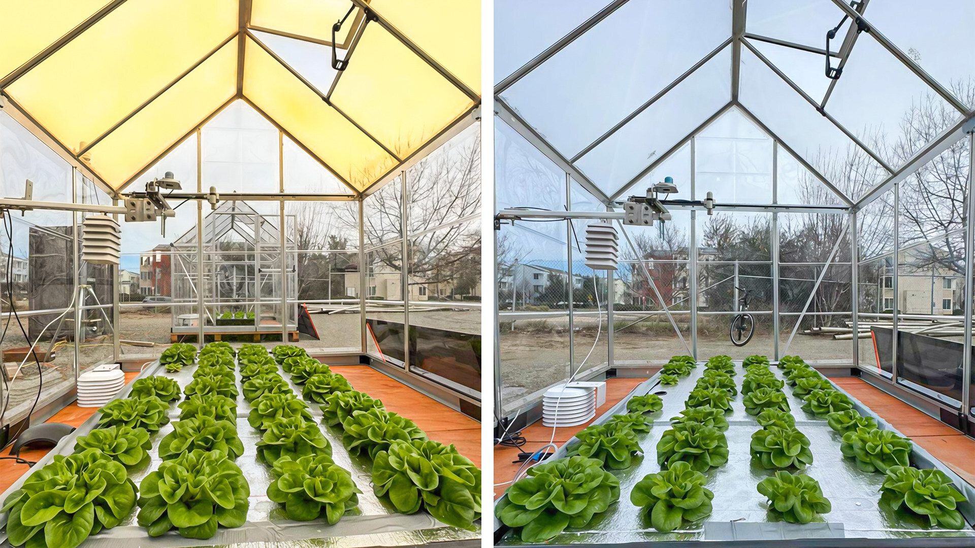 UbiQD Quantum Dot Glass Boosts Crop Yield, Efficiency, and Sustainability in USDA-Funded Study