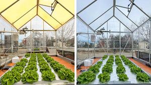 UbiQD Quantum Dot Glass Boosts Crop Yield, Efficiency, and Sustainability in USDA-Funded Study