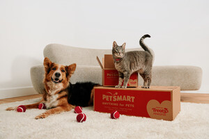 PetSmart Kicks Off Search for Its Next 'Chief Toy Tester'