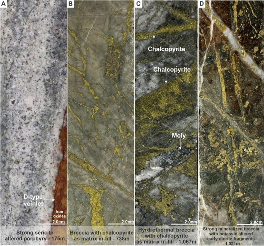 Figure 3. Mineralization and hydrothermal alteration observed in MD-049. A). Strong altered dacite porphyry with iron oxides after D-type veinlets. B). Hydrothermal breccia cemented by chalcopyrite. C). Hydrothermal breccia with sericite altered fragments and cemented by chalcopyrite. D). Hydrothermal breccia with potassic altered (secondary biotite) early diorite porphyry fragments and pyrite-chalcopyrite mineralization. (CNW Group/COPPER GIANT RESOURCES CORP.)