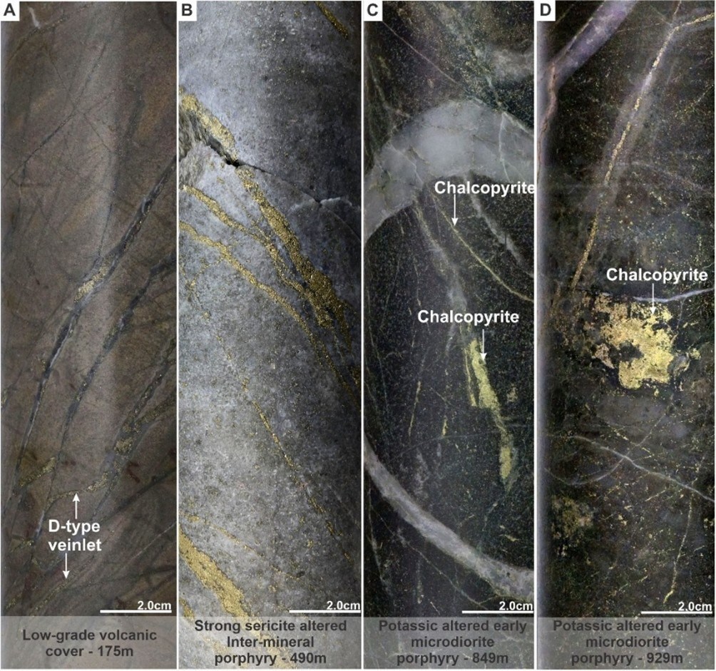Figure 4. Mineralization and hydrothermal alteration observed in MD-050. A). Low-grade volcanic sequence. B). Strong sericite altered inter-mineral porphyry with multiple D-type veinlets. C). Early microdiorite porphyry with strong potassic alteration (secondary biotite) with multiple A and B-type veinlets and fine-grain chalcopyrite disseminated. D). Early microdiorite porphyry with massive chalcopyrite and multiple quartz-molybdenite veinlets. (CNW Group/COPPER GIANT RESOURCES CORP.)