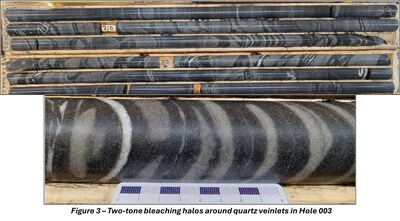 Figure 3 - Two-tone bleaching halos around quartz veinlets in Hole 003 (CNW Group/Targa Exploration Corp.)