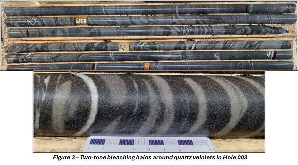 Figure 3 - Two-tone bleaching halos around quartz veinlets in Hole 003 (CNW Group/Targa Exploration Corp.)