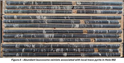 Figure 4 - Abundant leucosome veinlets associated with local trace pyrite in Hole 002 (CNW Group/Targa Exploration Corp.)