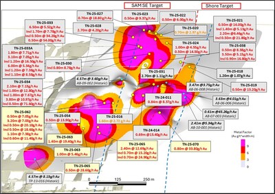 Figure 5: Long Section (Looking East)-Expanded view from AA’ of SAM SE and Shore Targets (CNW Group/1911 Gold Corporation)