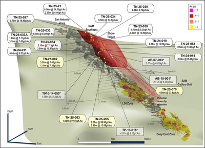 Figure 6: Isometric view (Looking NW)- SAM SE and Shore Targets within the SAM gabbro unit (CNW Group/1911 Gold Corporation)