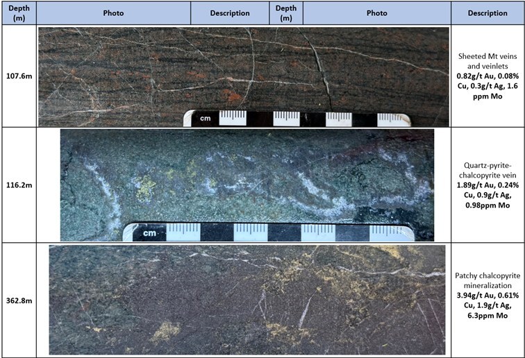 Fotos del núcleo - Hole EL25019 (CNW Group / Arras Minerals Corp.)