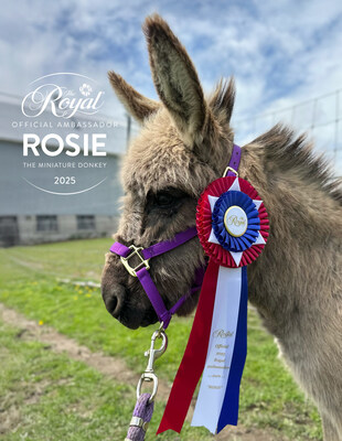 MEET THE ROYAL AGRICULTURAL WINTER FAIR’S 2025 ANIMAL AMBASSADOR ROSIE, THE MINIATURE DONKEY (CNW Group/Royal Agricultural Winter Fair)