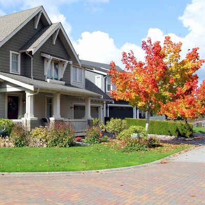 Stronger Roots, Fewer Weeds: Fall Lawn Care Tips for DFW Yards