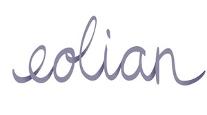 Eolian and Natixis Corporate &amp; Investment Banking Close $463 Million Financing for Largest Battery Energy Storage Site in Texas, Providing Needed Capacity at Critical Location for the Grid