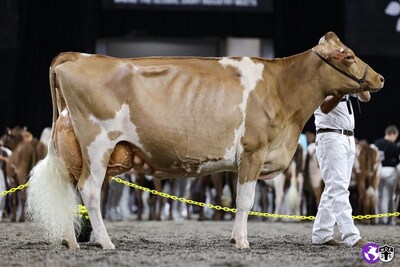 Photo by cowsmo.com
