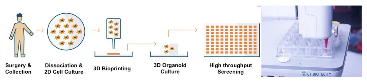Development of the First Inner Ear Organoids by 3D Bioprinting for Pharmacological Screening in Hearing Disorders: CTIBIOTECH™ Announces Strategic Agreement With SATT AxLR and CILCARE