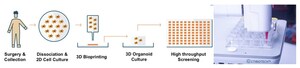 Development of the First Inner Ear Organoids by 3D Bioprinting for Pharmacological Screening in Hearing Disorders: CTIBIOTECH™ Announces Strategic Agreement With SATT AxLR and CILCARE