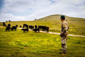 Hinterland Institute Announces Partnership with Essential Provisions to Launch "Base to Bellies" Initiative