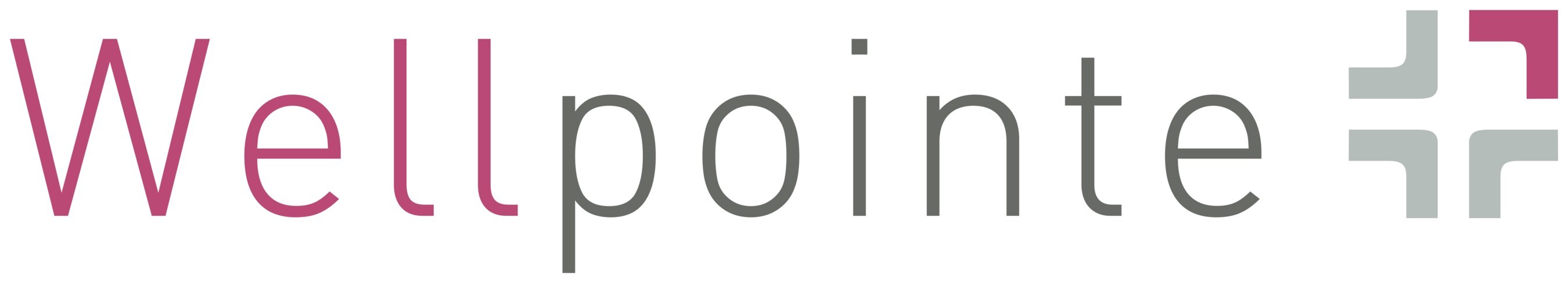 Wellpointe Inc. Announces the Addition of Katie Churchill as its First Director of Talent Management