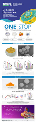 Co-loaded Liposomes Show Enhanced Cardiovascular Support - Both CoQ10 and Curcumin liposomes demonstrated superior improvement compared to their conventional forms under experimental conditions.