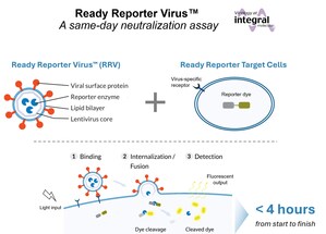 10x Faster Virus Neutralization Testing With Launch of Integral Molecular's Ready Reporter Virus™ Kit
