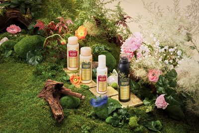 Wicked: For Good x Kristin Ess Hair Collection
