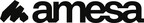 AMESA Logo