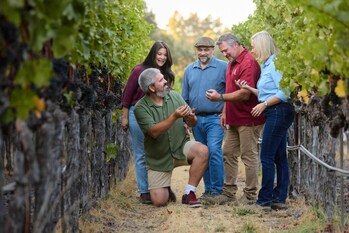 Now in its third vintage, this highly anticipated bottling is unlike almost anything else in the wine world.Photo by Rocco Ceselin