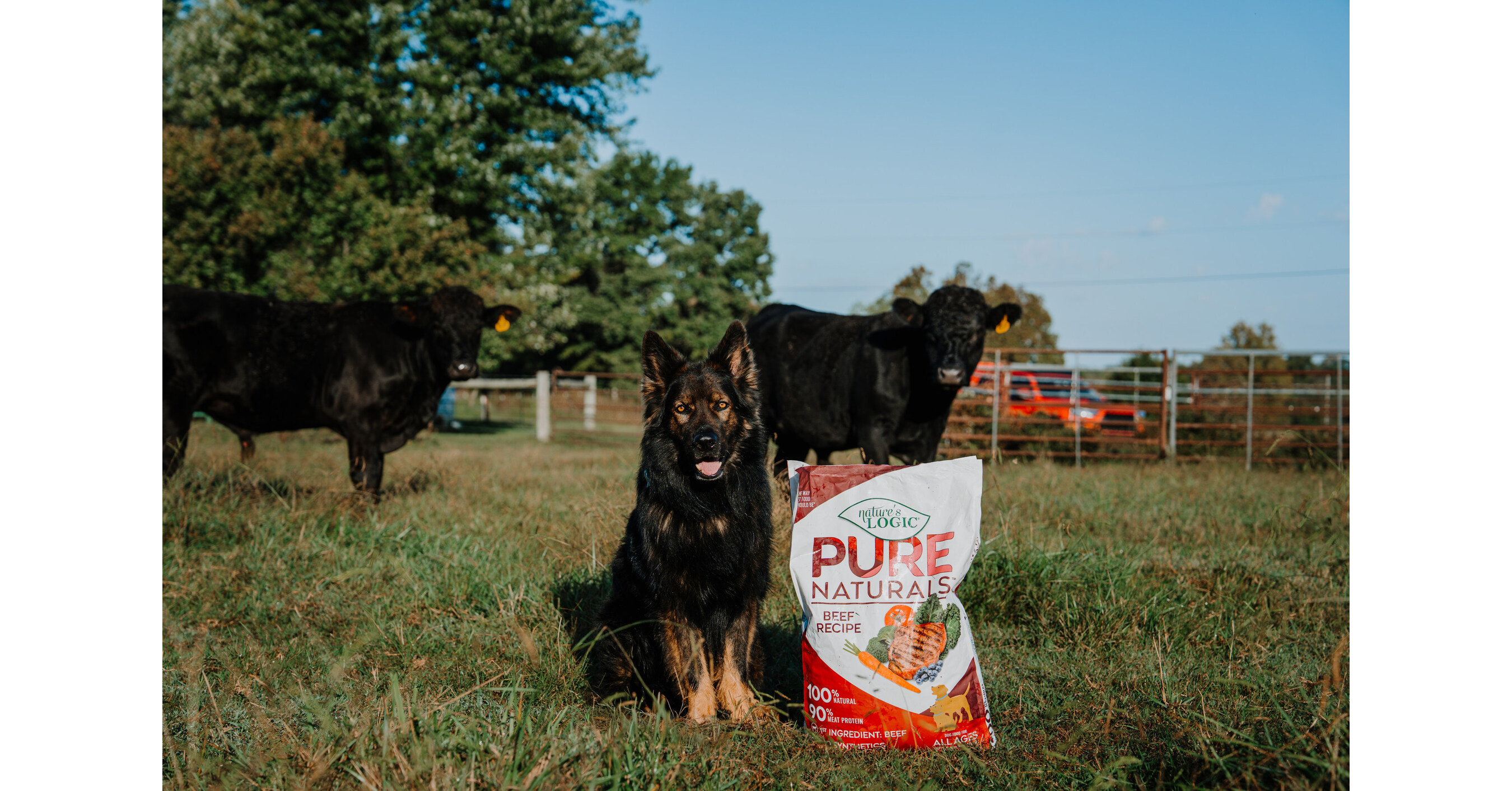 NATURES LOGIC REDEFINES NATURAL DOG FOOD WITH NEW PURE NATURALS™ LINE THAT IS ACTUALLY 100% NATURAL