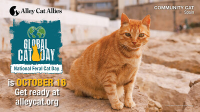 Alley Cat Allies Global Cat Day and National Feral Cat Day October 16, 2025. AlleyCat.org.
