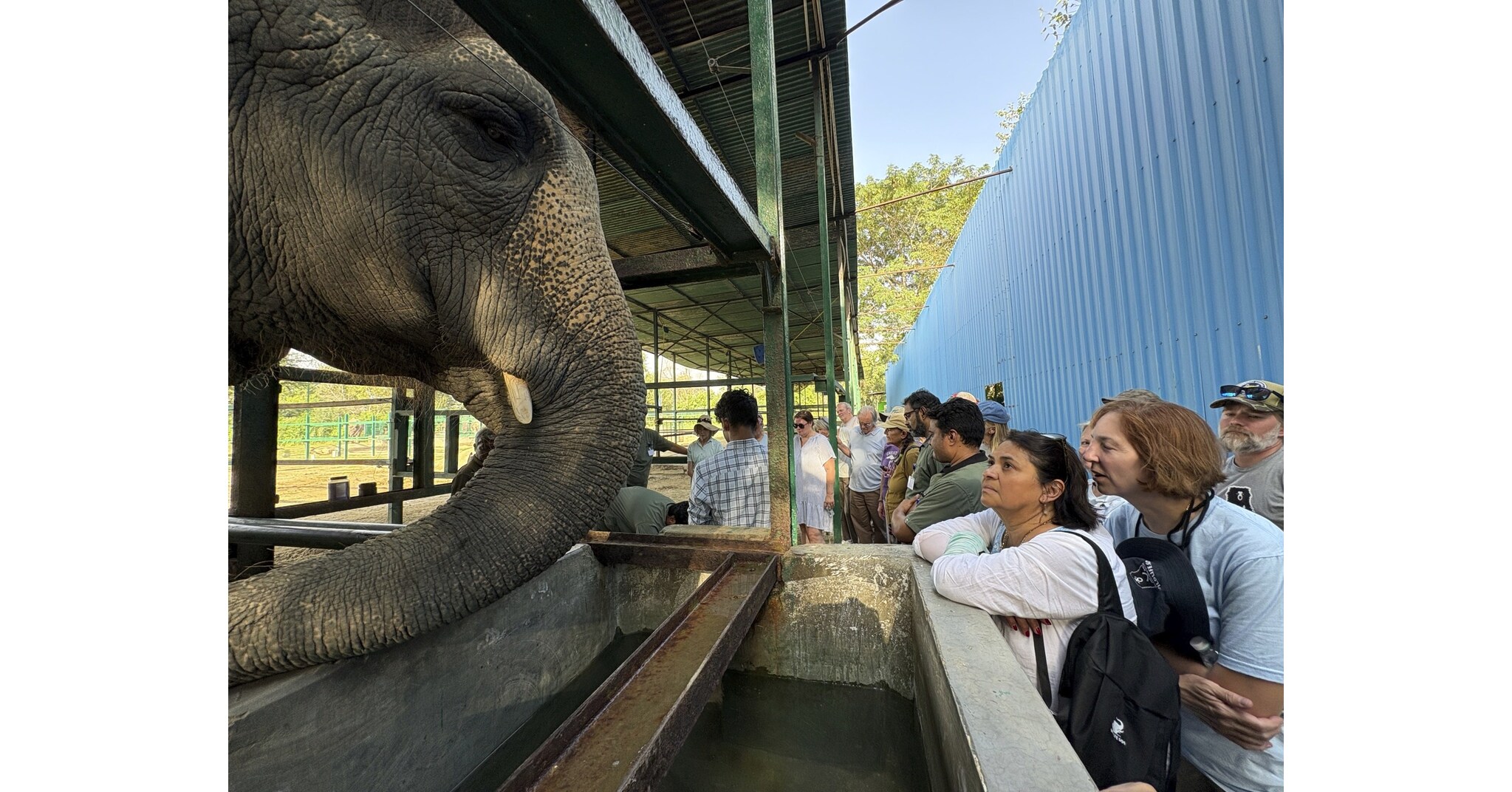 Wildlife SOS hosts first global elephant master class in India